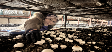 Erzurum'dan d�nya pazar�na! Kad�n giri�imci devlet deste�iyle 75 ton mantar �retiyor