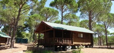 'Bungalov ev' ilanlar�yla vatanda�lar� doland�rd�lar! 6 ki�i tutukland�