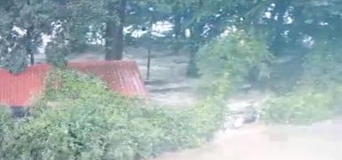 ��neada facias� davas�nda karar