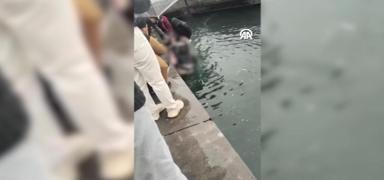 Kad�k�y iskelesinden 4 ki�i denize d��t�