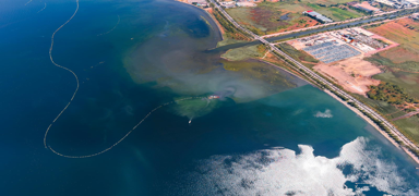 �zmit K�rfezi'nde 182 hektarl�k alandaki dip �amuru temizlendi