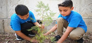 Ye�il Vatan Seferberli�i'ne destek! Kabineden vatanda�lara �a�r�