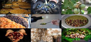 Trkiye'de corafi iaretli rn says 1781'e ulat