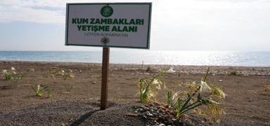 Cezas� dudak u�uklat�yor! Do�an�n zarafetine s�k� koruma