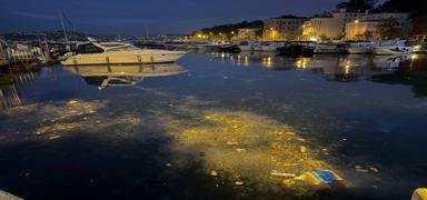 Sar�yer'de denize at�lan ��pler k�y�ya vurdu