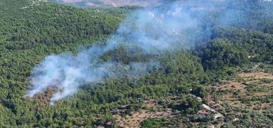 Mu�la'da korkutan yang�n