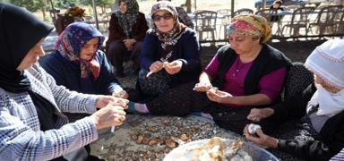 Japonlar�n g�zdesi Adana'dan ihra� ediliyor! Kilosu dudak u�uklat�yor