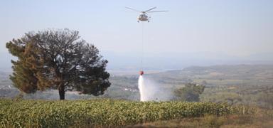 �ukurova'daki yang�n s�nd�r�ld�