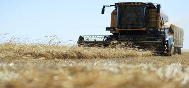 Tar�msal destekleme �demeleri hesaplara aktar�l�yor