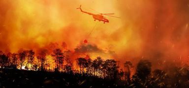 Yeil vatan yeniden filizleniyor: 11 bin 868 futbol sahas byklnde alan iin almalar balad