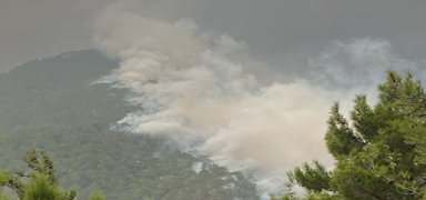Hatay'da kan orman yangn havadan ve karadan mdahaleyle kontrol altna alnd