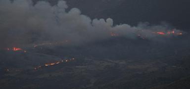 Cezayir'i saran orman yang�nlar� 8 kente yay�ld�! Vatanda�lar tahliye ediliyor