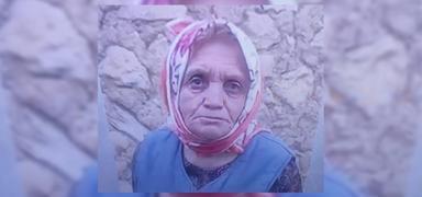 �ank�r�'da ��pheli �l�m: Mantar toplamaya gitti cesedi bulundu