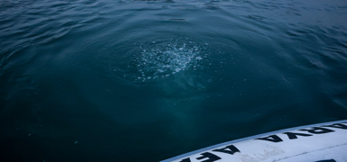 Sapanca G�l�'nde endi�e veren kabarc�klar! Vatanda�lar tedirgin