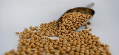 Ticaret Bakanl���'ndan 'nohut' karar�