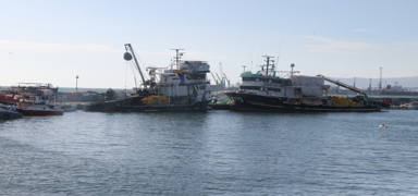 Tekirda�'da bal�k��lar denize a��lamad�