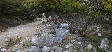 Kom�uda 'Osmanl�' haz�ms�zl���