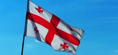 G�rcistan'da ilgin� olay! Muhalefet lideri, mahkeme binas�n� kundaklamaktan g�zalt�na al�nd�