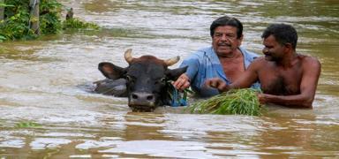 Sri Lanka'da �iddetli ya���lar 153 ki�inin �l�m�ne neden oldu