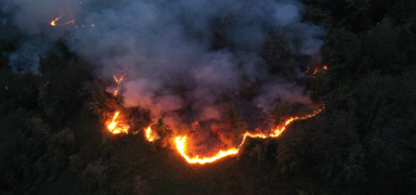 Artvin'de �rt� yang�n�... Alevlerle m�cadele s�r�yor