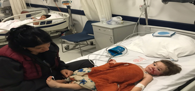 Ba�kentte sahipli pitbull deh�eti