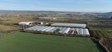 Bakanl�k deste�iyle Tekirda�'da seralar yenilendi: Siz �retin biz yan�n�zda olal�m