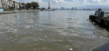 AK Parti'li �ank�r�'dan �zmir B�y�k�ehir Belediye Ba�kan� Tugay'a ele�tiri: K�rfezin temizli�inden siz sorumlusunuz