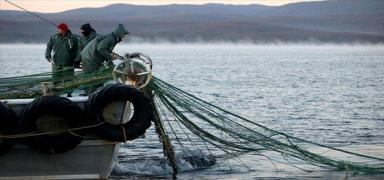 T�rkiye, tarihinde ilk kez GFCM ba�kan� se�ildi! Akdeniz bal�k��l���nda s�z art�k Ankara'da