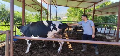 Mu�la'da �ap alarm�... 11 mahalle karantinaya al�nd�