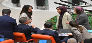 CHP'li vekilden Leyla �ahin Usta'ya �irkin s�zler