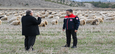 Tiftik i�in yeni d�nem: �zel destek geliyor