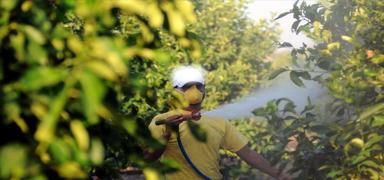 Zehirlenme vakalar� sonras� yeni tedbir