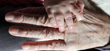 Bilim insanlar� ya�lanmay� yava�latman�n s�rr�n� buldu: Cevap mitokondrilerde...