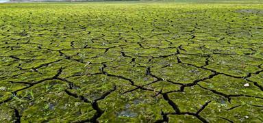 �stanbul'da kurakl�k alarm�