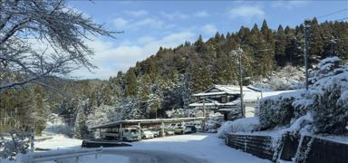 Japonya ve �srail aras�nda Gazze gerilimi! Soyk�r�mc�lar�n rezervasyon talebi reddedildi