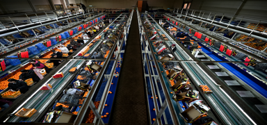 Mandalinada tarihi rekor! �hracat 615 milyon dolara dayand�