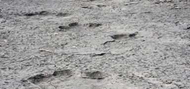 Milyonlarca y�l �ncesine dayan�yor