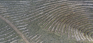 T�rkiye'nin en kirli havas�na kar�� ye�il hamle! 3 bin d�n�m orman olacak