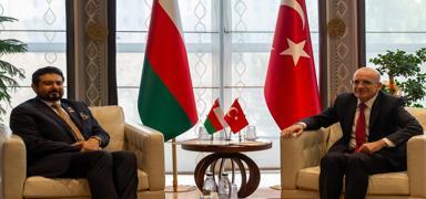 17 alanda i�birli�i