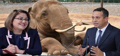 �ahin'den CHP'li Ba�ar�r'a videolu cevap