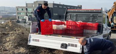 G�da denetiminde skandal g�r�nt�ler: kilolarca et imha edildi