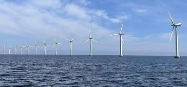 Trump y�netiminden r�zgar enerjisi projesine veto... Program ask�ya al�nd�