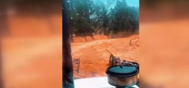 Mu�la'da altyap� skandal�: Sa�anak dereyi t�kay�p ta��rd�