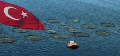 Bal�k��l�k sekt�r� destan yaz�yor! T�rkiye Avrupa ikincisi