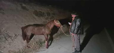 ��letmeden ka�an safkan taylar �ehri birbirine katt�