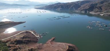 Birka� y�lda ikiye katlanacak! T�rk somonunda kritik hedef