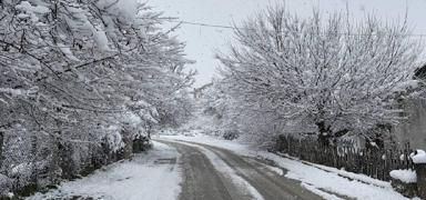 Valilik duyurdu: Zonguldak'ta e�itime 'kar' aras�