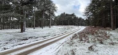 Kazda�lar� beyaza b�r�nd�