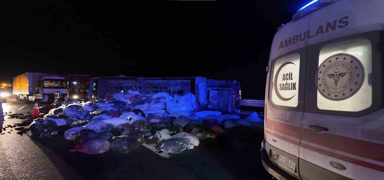 Kuzey Marmara Otoyolu'nda kaza: 2 yaral�