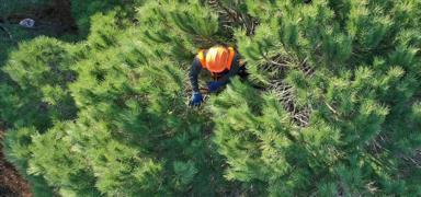 OGM 5 Ocak'a kadar i��i ba�vurular�n� alacak